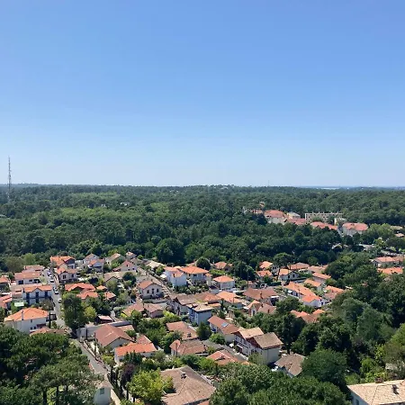 Daire Plein Ciel Vue Bassin Arcachon